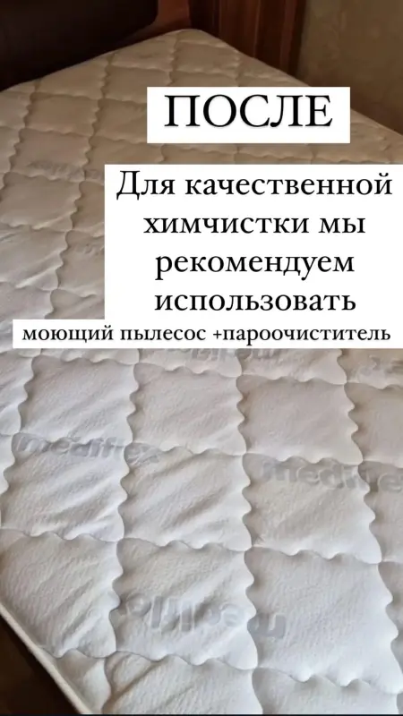 Аренда моющего пылесоса / пароочистителя / робота-мойщика окон - Большая Берестовица - 239204 - Доска объявлений Kupika.by - Фото 10