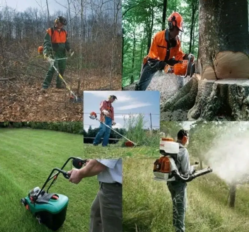 Уход за садом и огородом - Уборка участка. Расчистка участка. - Вся Беларусь - Фото 3 Уборка участка. Расчистка участка. - Вся Беларусь - 240777 - Доска объявлений Kupika.by - Фото 3