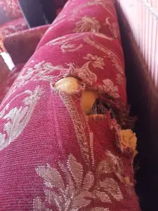 Отдам БЕСПЛАТНО диван и 2 кресла