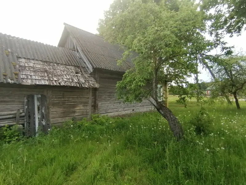 Дом в д.Пруды,2 озера, река, Налибокская пуща,76 км от МКАД - Вся Беларусь - 239330 - Доска объявлений Kupika.by - Фото 9