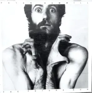 Peter Hammill__музыкальные CD диски