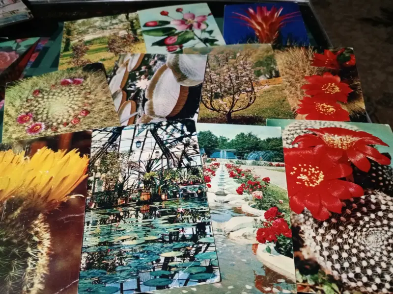 Коллекции открыток СССР - Вся Беларусь - 241189 - Доска объявлений Kupika.by - Фото 10