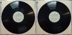 Грампластинки ''Михаил Пляцковский - Приключения кузнечика Кузи'' (1989, 1990)