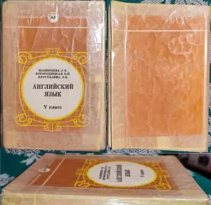 Любовь Шавернева, Валентина Богородицкая, Лилия Хрусталёва - Английский язык V-VI класс