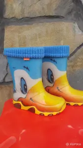 Резиновые сапожки польской фирмы "Demar"