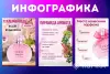 Инфографика товара - Вся Беларусь - 244109 - Доска объявлений Kupika.by - Фото 14