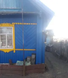 Дом в агрогородке Лопатичи, 3 комн., 68.2 м², 25 сот.