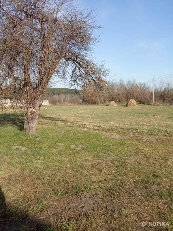 Продается земельный участок 0.63 га с домом в живописном месте в д. Якимовичи. - Вся Беларусь - 243888 - Доска объявлений Kupika.by - Фото 4