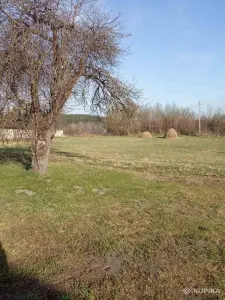 Продается земельный участок 0.63 га в живописном месте в д. Якимовичи.