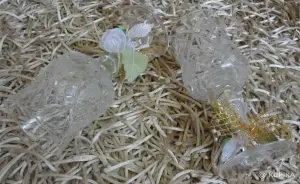 Хрустальные бокалы 'Нёман'