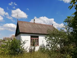 Дом с участком деревня Масевичи