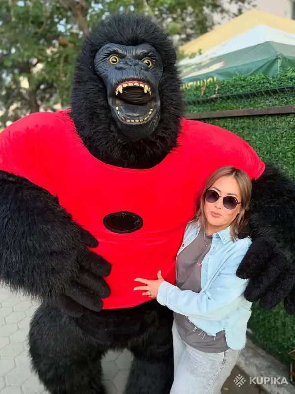 АНИМАТОР БЕЛЫЙ МЕДВЕДЬ МИШКА ЧЕБУРАШКА ГОРИЛЛА ЛАБУБУ РОСТОВЫЕ КУКЛЫ БУМАЖНОЕ ШОУ В БРЕСТ КОБРИН И ОБЛАСТЬ - Вся Беларусь - 246175 - Доска объявлений Kupika.by - Фото 8