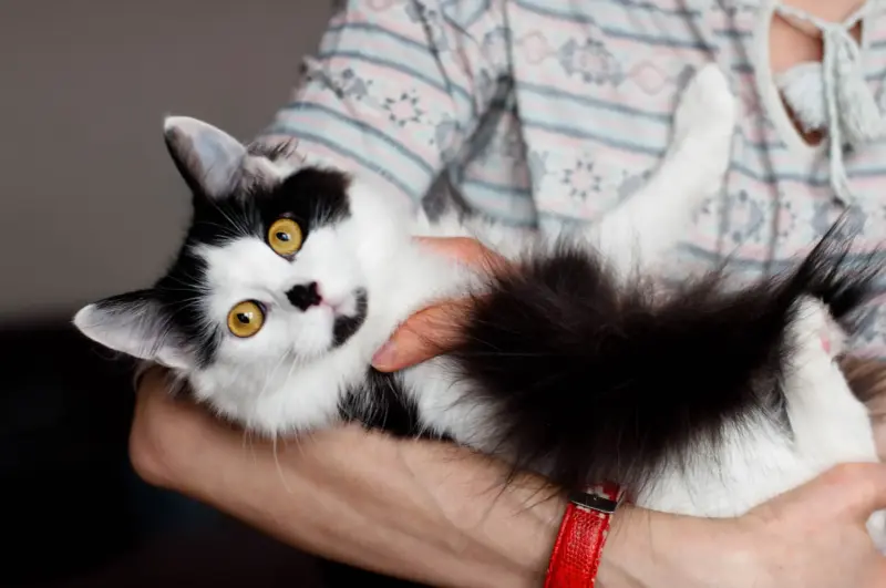 Доня - скромная красотка