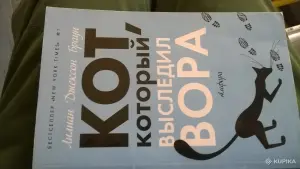 Кот, который выследил вора