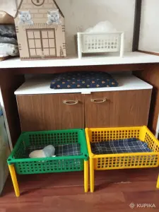 Квартирная передержка для котов