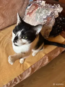 Ося ждёт мампап