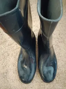 Резиновые сапоги
