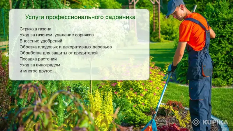 Услуги садовника