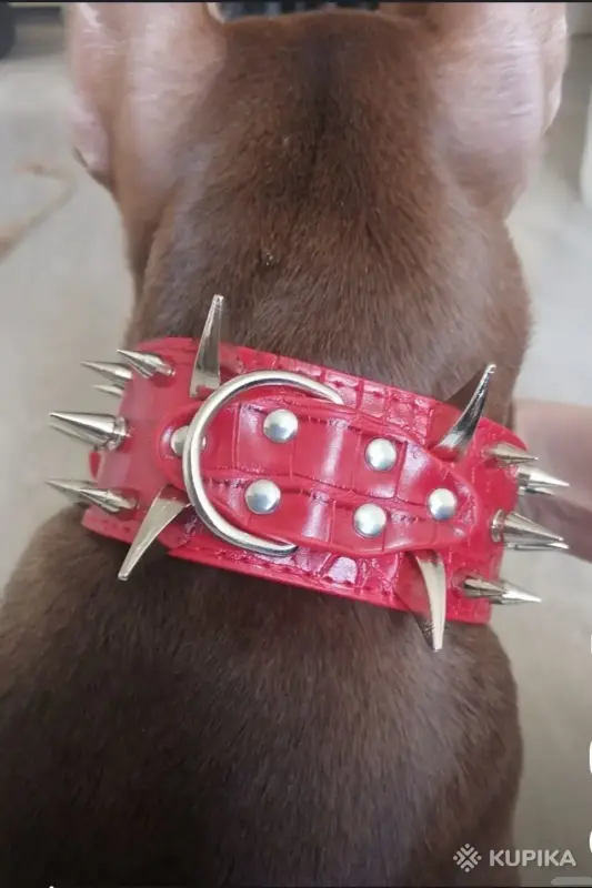 Ошейник для собак с шипами - Вся Беларусь - 244468 - Доска объявлений Kupika.by - Фото 4