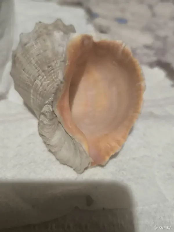 Украшения интерьера