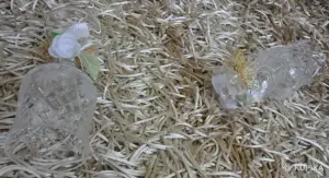 Хрустальные бокалы 'Нёман'