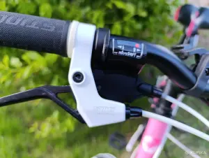 Велосипед Stinger Latina 24