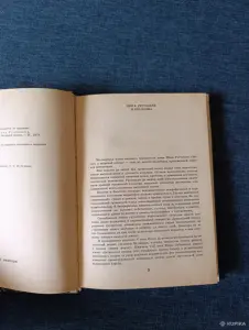 Книга. Шота Руставели. " Витязь в тигровой шкуре ".