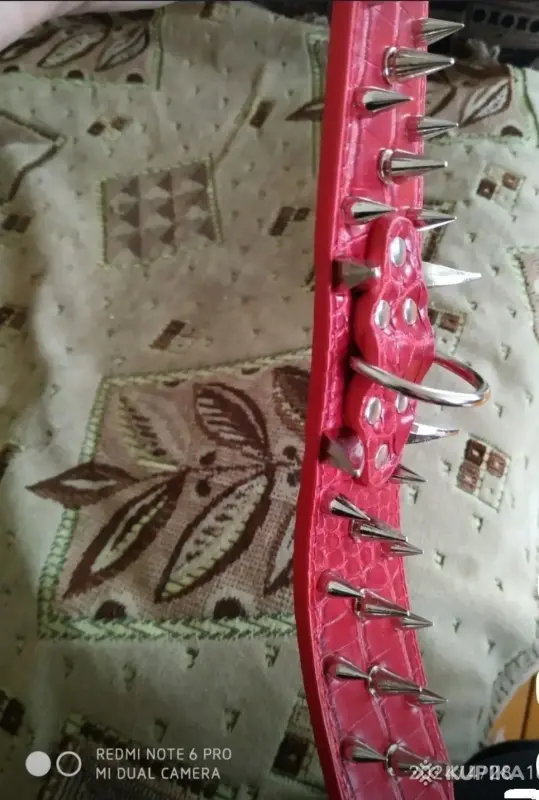 Ошейник для собак с шипами - Вся Беларусь - 244468 - Доска объявлений Kupika.by - Фото 2