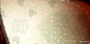 лакированные туфли фирмы 'SHUZZI'