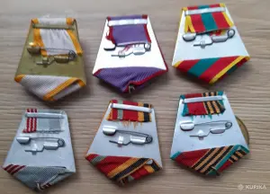 колодки с лентами трудовые