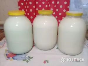 Молоко сырое и молочные продукты