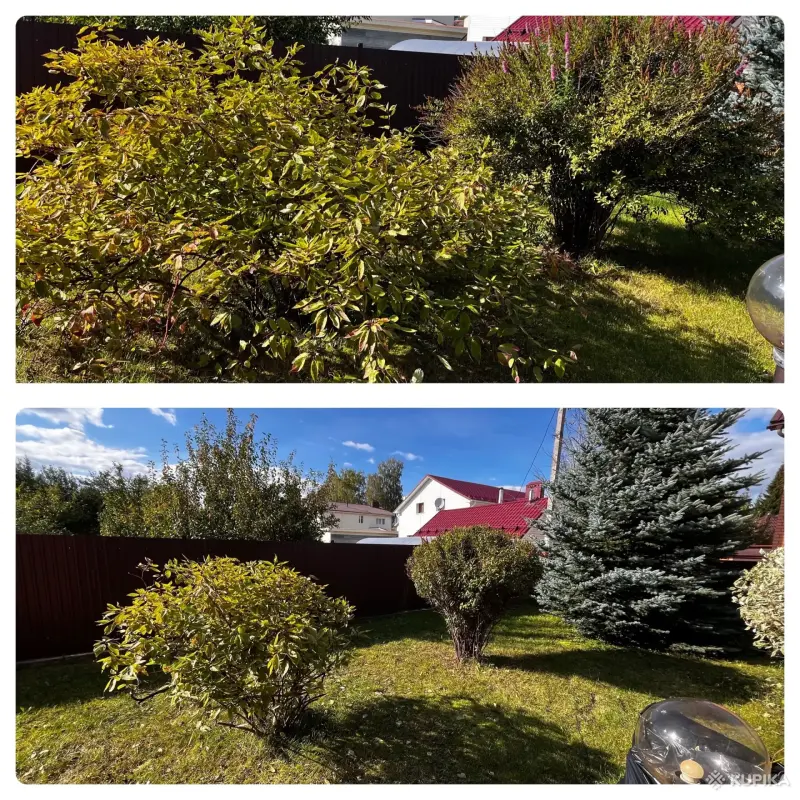 Услуги садовника - Вся Беларусь - 242405 - Доска объявлений Kupika.by - Фото 3