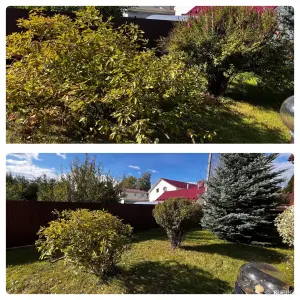 Услуги садовника