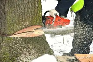 Услуги садовника