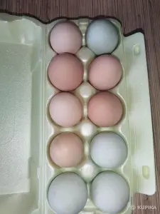 Яйца домашние молодых кур. Могу передать в Минск