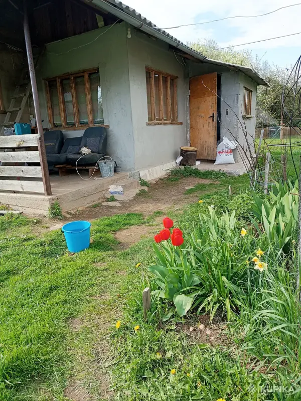 Дом для жизни, отдыха, рыбалки. 30 км от Борисова.