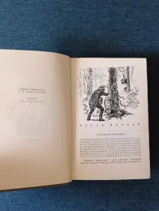 Книга. Жаль Верн.