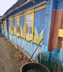 Дом в агрогородке Лопатичи, 3 комн., 68.2 м², 25 сот.