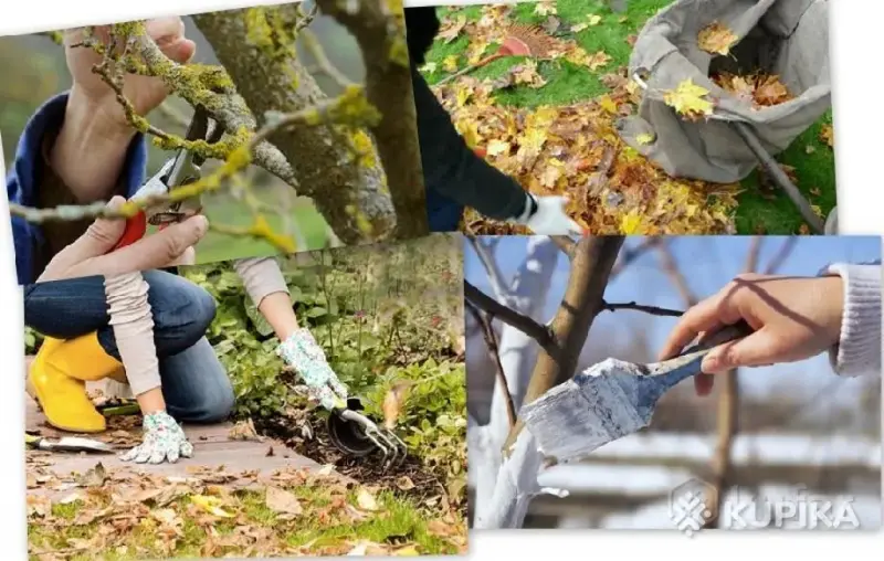 Услуги садовника - Вся Беларусь - 242405 - Доска объявлений Kupika.by - Фото 6