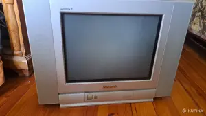 Телевизор Panasonic TC-15PM30RQ