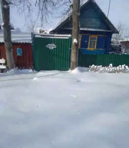 Дом в агрогородке Лопатичи, 3 комн., 68.2 м², 25 сот.