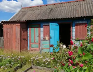 Дом с участком деревня Масевичи