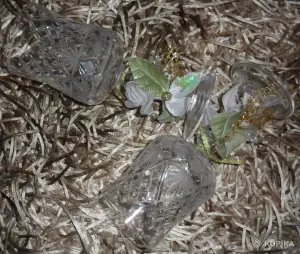 Хрустальные бокалы 'Нёман'