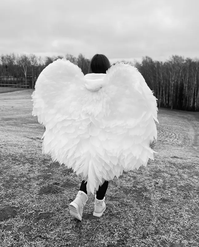 Крылья Ангела