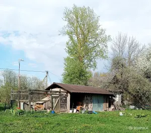 Дом для жизни, отдыха, рыбалки. 30 км от Борисова.