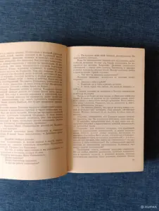 Книга. Николай Чергинец. " Служба дни и ночи ".