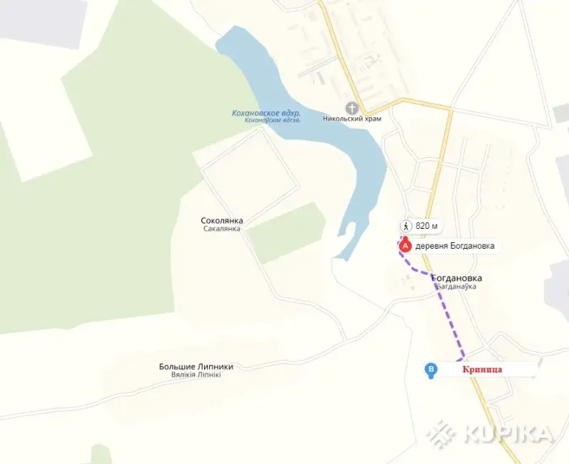 Жилой кирпичный дом на берегу озера, Толочинский район, г. п. Коханово. - Вся Беларусь - 243632 - Доска объявлений Kupika.by - Фото 10