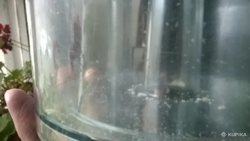 Чаша основная 1200ml для комбайна Philips HR7638 - Вся Беларусь - 244009 - Доска объявлений Kupika.by - Фото 4