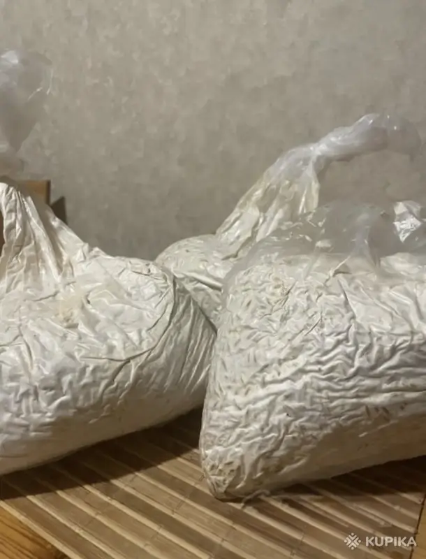 Мицелий «ВЕШЕНКА» - Вся Беларусь - 244038 - Доска объявлений Kupika.by - Фото 2