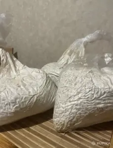 Мицелий «ВЕШЕНКА»